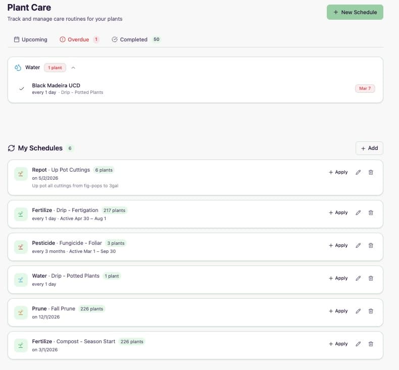 Care dashboard showing upcoming and overdue tasks with schedule management